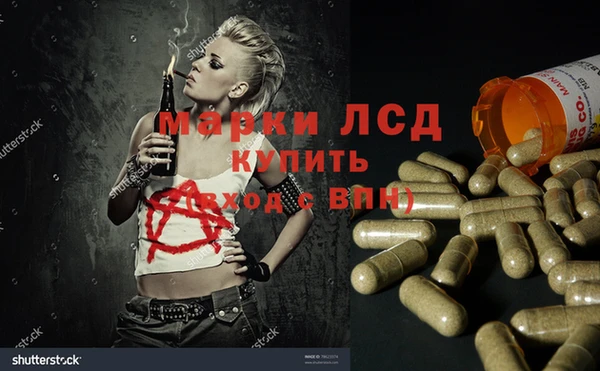 PSILOCYBIN Навашино