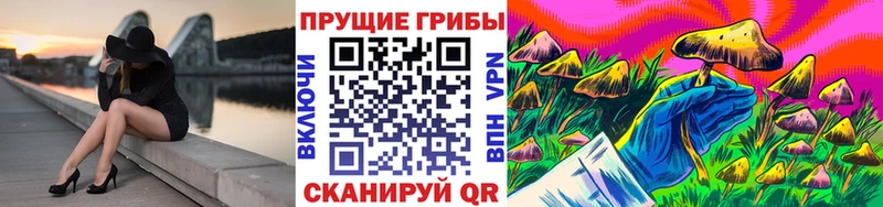 Псилоцибиновые грибы MAGIC MUSHROOMS  мега рабочий сайт  Жиздра 